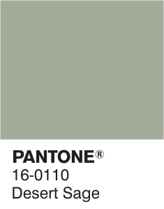 colores pantone gris