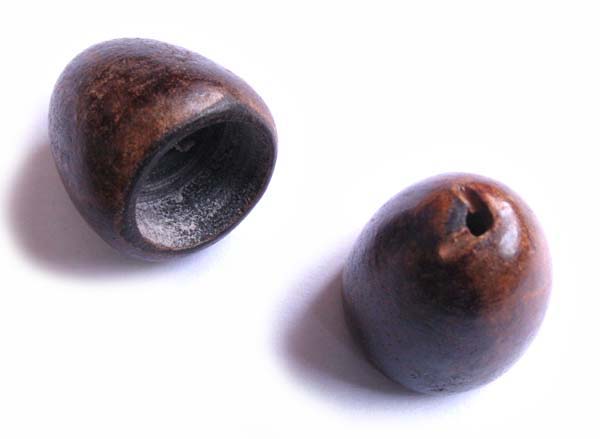Large burnt horn cup wholesale beads