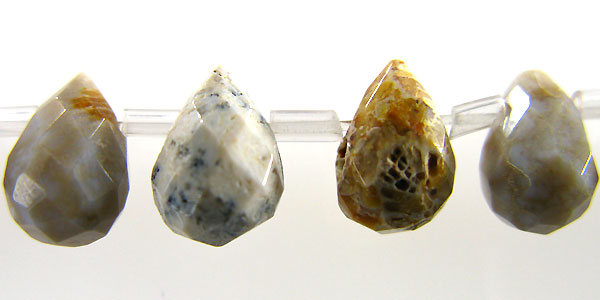 Fossil Coral Briolette faceted 6mm wholesale gemstones