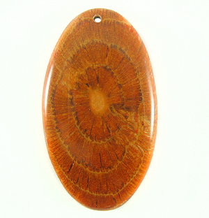 Albutra wood inlay oval brown 57x32mm