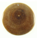 Alangingi wood inlaid on natural wood casing 50mm