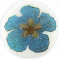 Metallic Blue "Gumamela" Flower Design Round Makabibi