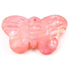 Hammer shell butterfly pink wholesale