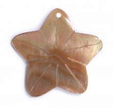 Brownlip star design wholesale pendant