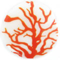 River shell decal print 40mm trunk
