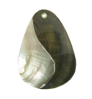Blacklip shell teardop yinyang design 60mm