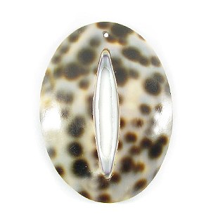 Tiger cowrie oval pendant with center hole