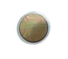 Brownlip Round inlaid inside metal frame 19mm