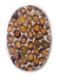 ipil-ipil seed inlay oval 30x45x4mm thic