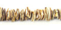 Voluta shell Crazycut beads