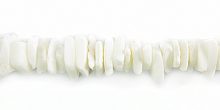 Fragum shell or white clam shell crazycut beads white