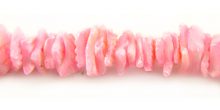 Fragum shell or white clam shell crazycut beads dyed pink
