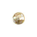 Brownlip shell round blocking beads 10mm