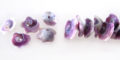 Cebu beauty shell flower cut beads
