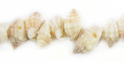Orange nutmeg shells