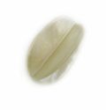 Hammershell natural white 4-sided 36mm bead