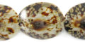 Limpet shell tiger
