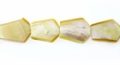 LS MOP 6-sided arrowhead wholesale beads