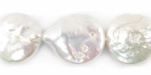 Pearls coin White 12-13mm