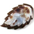 Coconut shell leaf pendant with hammershell