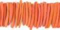 Coconut shell tusks beads dyed orange