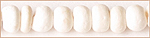 Coconut shell bead 2-3mm bleached white