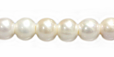 Potato pearl white Grade A 9-10mm