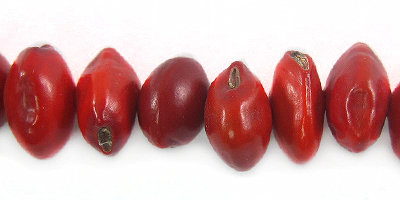 Red bahay seed flat drilled beads