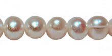 Potato pearl 8-9mm white Grade A