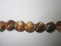 Brown kaccols whole shell wholesale beads