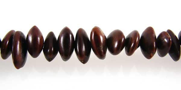Acacia seed beads