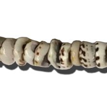 Puka shell tiger size 9-11mm