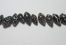 Wholesale Pyrene Shell Dotted Whole Beads 9x15mm