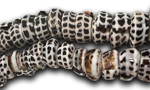 Tiger puka shell extra large beads 16-20mm